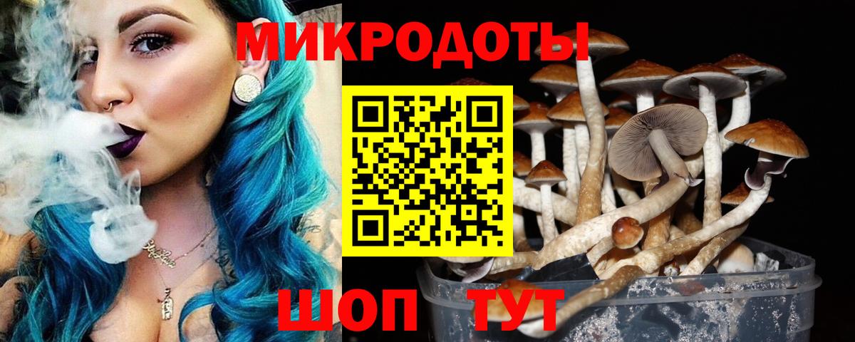 Малоярославец  Псилоцибиновые грибы мухоморы  Вход с VPN 